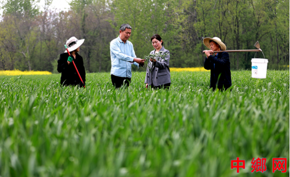 ���ո�������䴫��