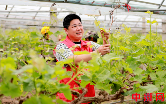 ���ո����������۲�ҵ����ũ��