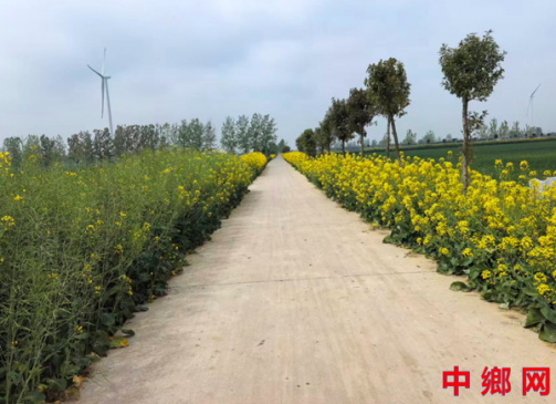 ���ջ�Զ�����򣺴�ͷ·�߲˻��� ũ��ʳ��������