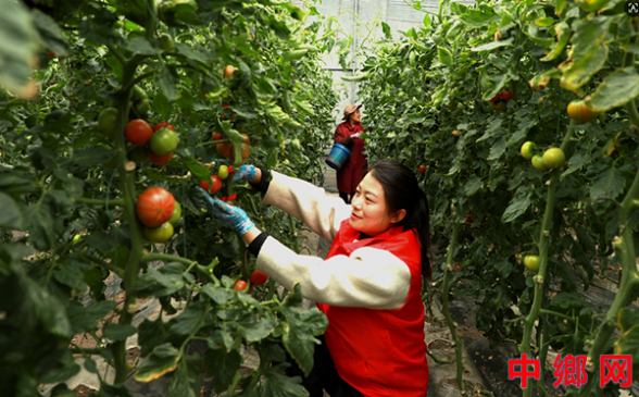 ���ѷ��� ��Ա����