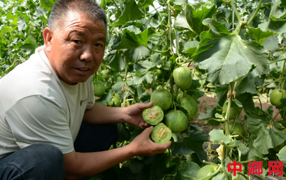 �����ڻƣ���Ʒ�֡�����12��616�����࣬�Ƽ�������ϲ�ҵ������Ч