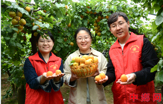 �����ڻƣ���Ա�ɲ���ũ�����ʴ��������С��������ϵ��̿�ݳ�