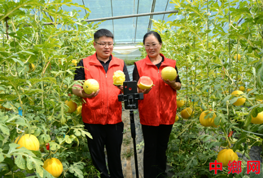 �����ڻƣ�����Ǻ�ֱ������ֱ����ũ���ƶˡ�����