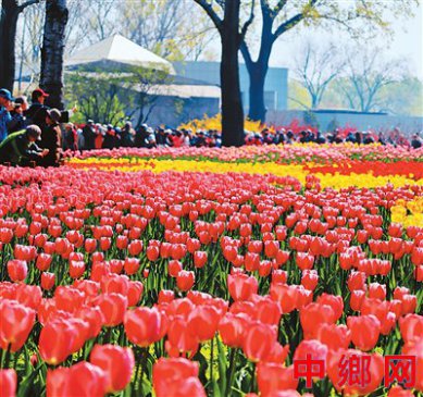 �������һվʽ���ʹ���ʢ��